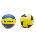 Vinex Volleyball- Conquer