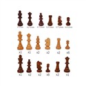 Vinex Chessmen Magnetic - Prima